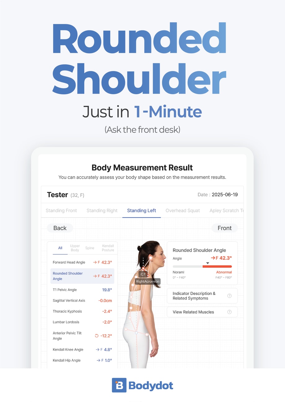 Example - Rounded Shoulder