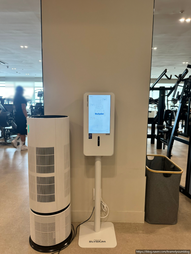 Bodydot Installation
