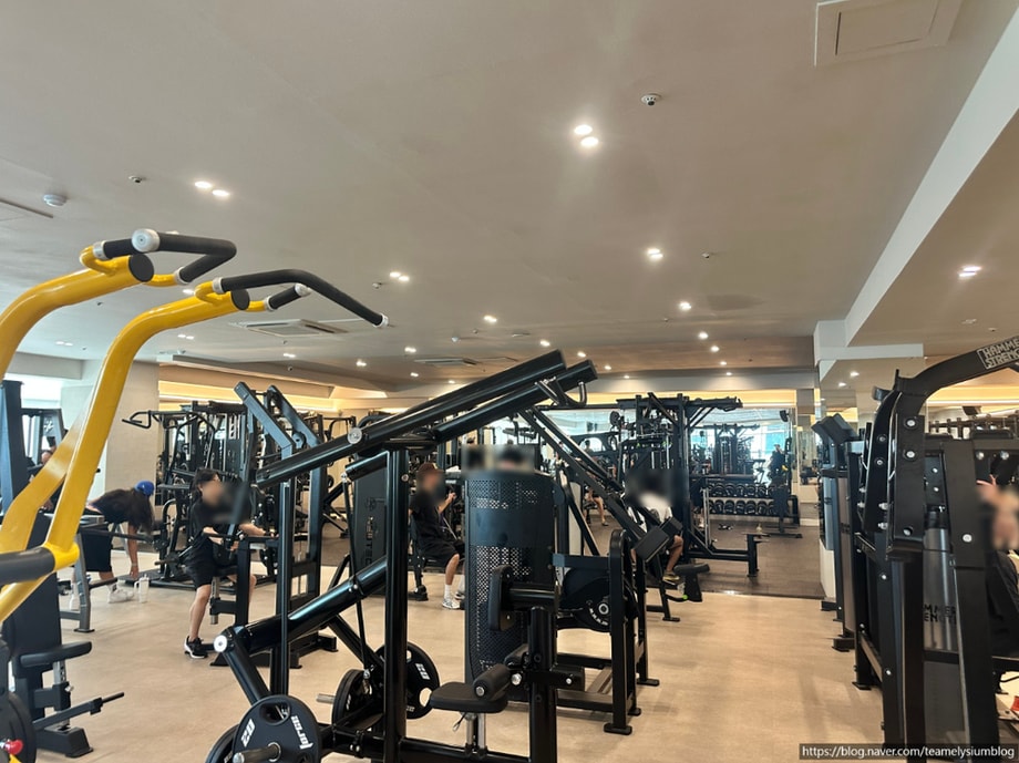 Health Boy Gym 1