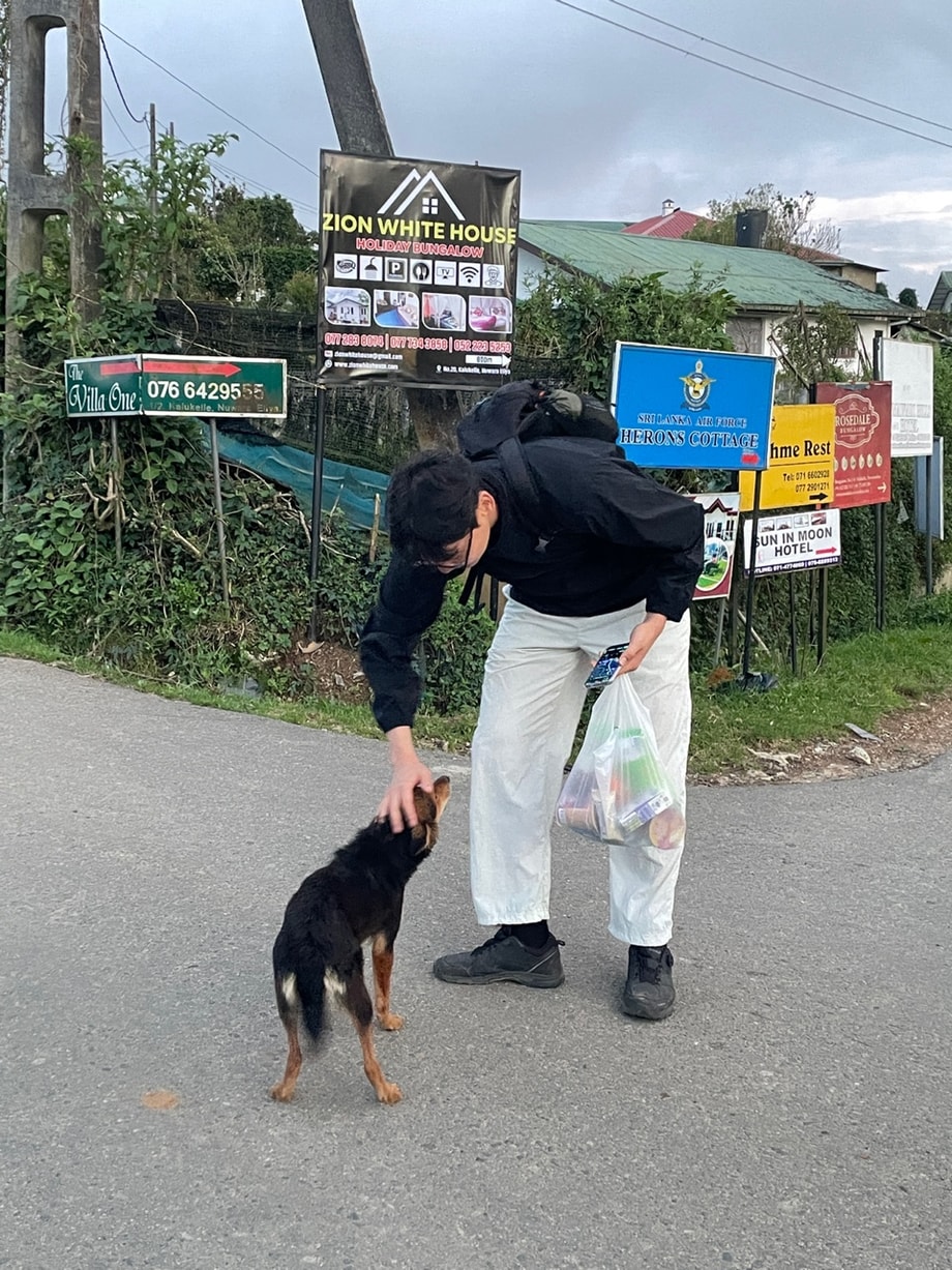 2025.08 Nuwara Eliya, Sri lanka