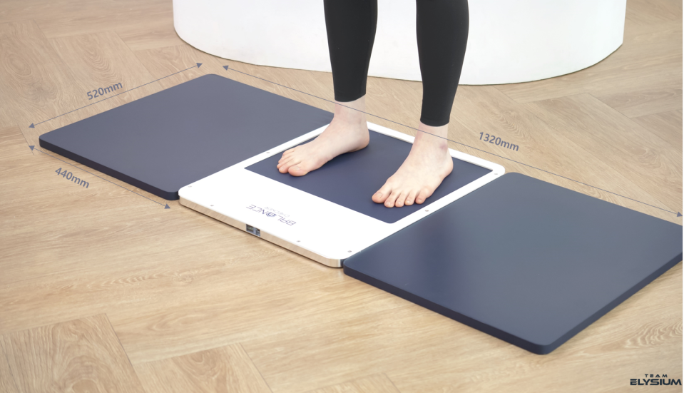 총 길이 1320mm x 세로 520mm x 보행보조판 가로 440mm