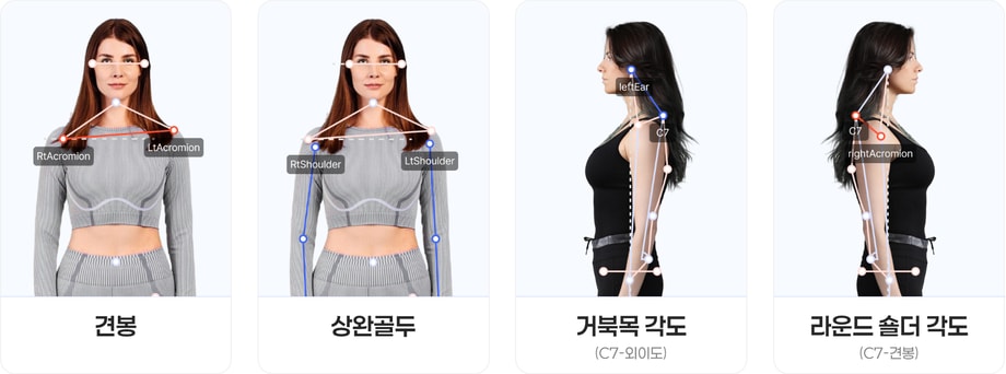 바디닷에서 제공하는 AI 모델 예시