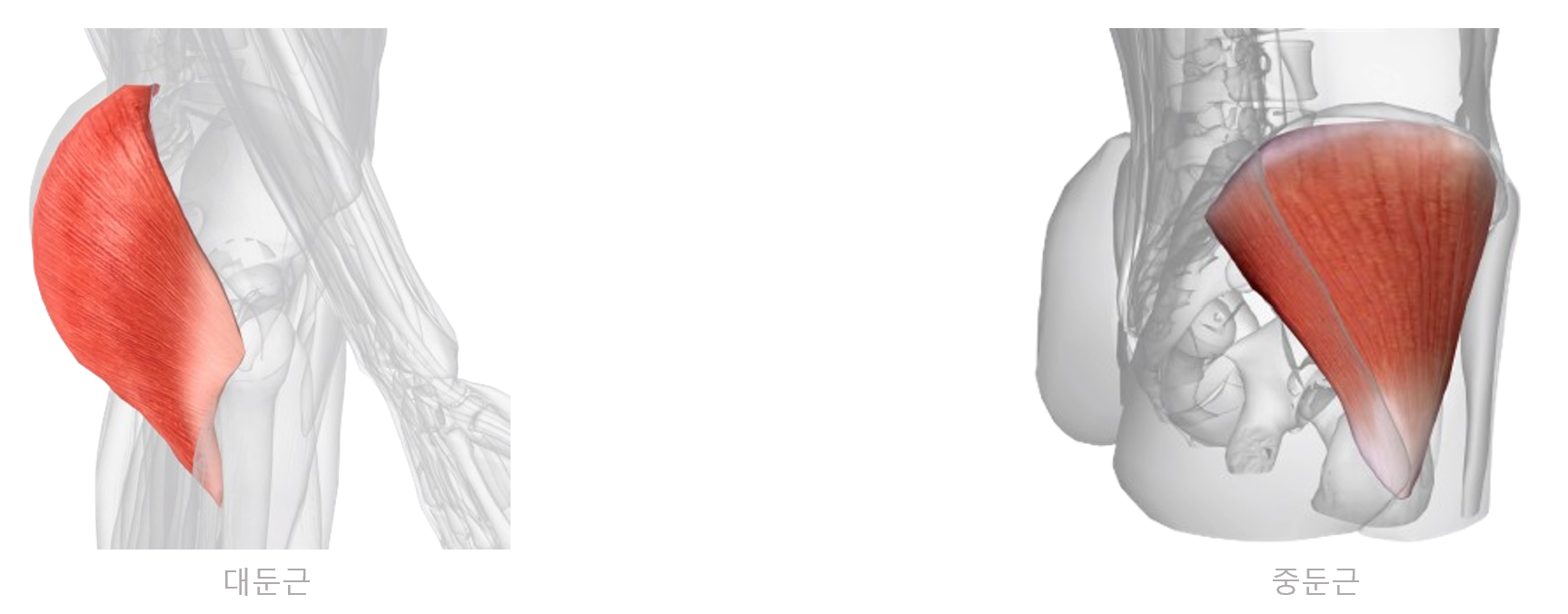 notion image