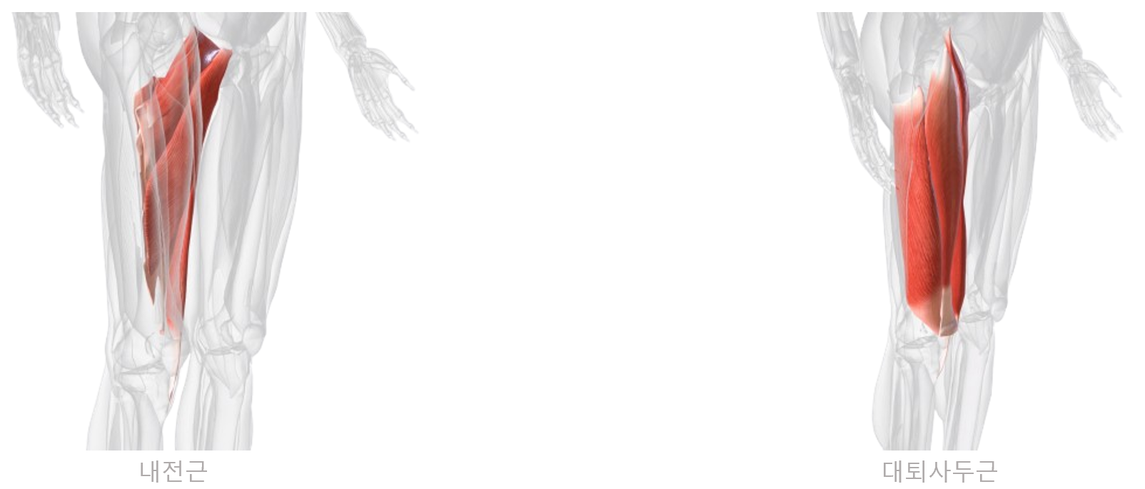 notion image