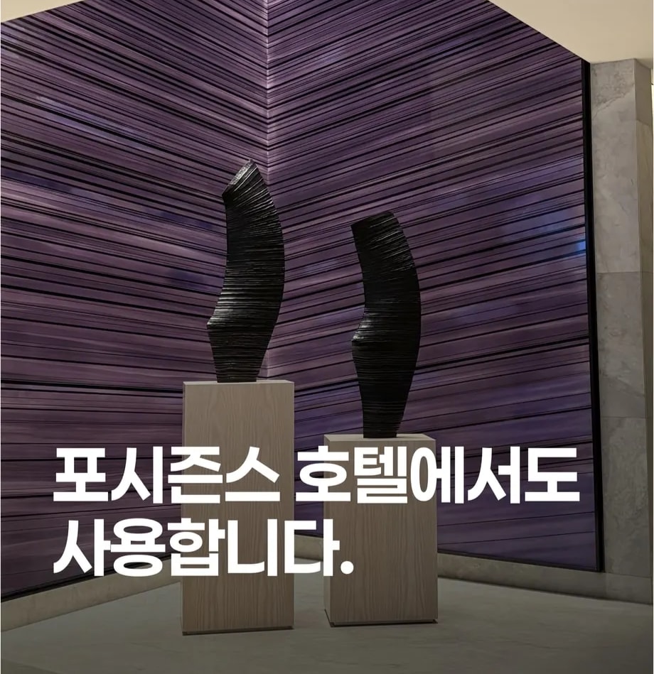 포시즌스 호텔 바디닷 도입