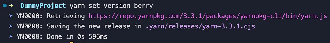 지금부터 당신도 Yarn Berry 유저!